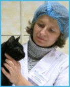 Тип геморрагического синдрома