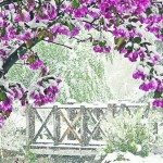 weather-changing