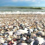 azov-sea