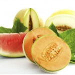 melon_water-melons