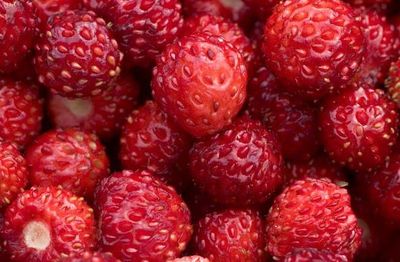 01berry