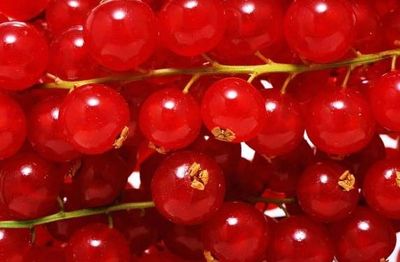02berry